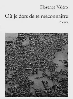 Valero Florence, poésies, poèmes, illustrations, christinemannazdenarie.fr Couverture du recueil de poésie de Florence Valero, illustré par une photographie de Christine Mannaz Denarié